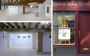 The Curious Duke Gallery